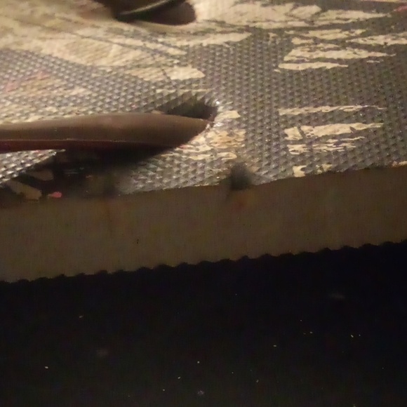 NWT - Skull Flip Flops - Size S (5/6) - Picture 2 of 10